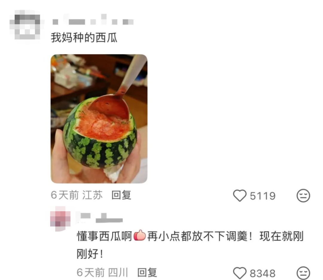 “本人于2026年5月种出了番茄，望周知” - 图8