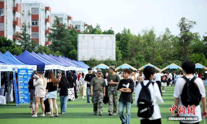 政企校聚力搭台 浙川“蓝鹰工程”助四川青年就业成才 - 图3