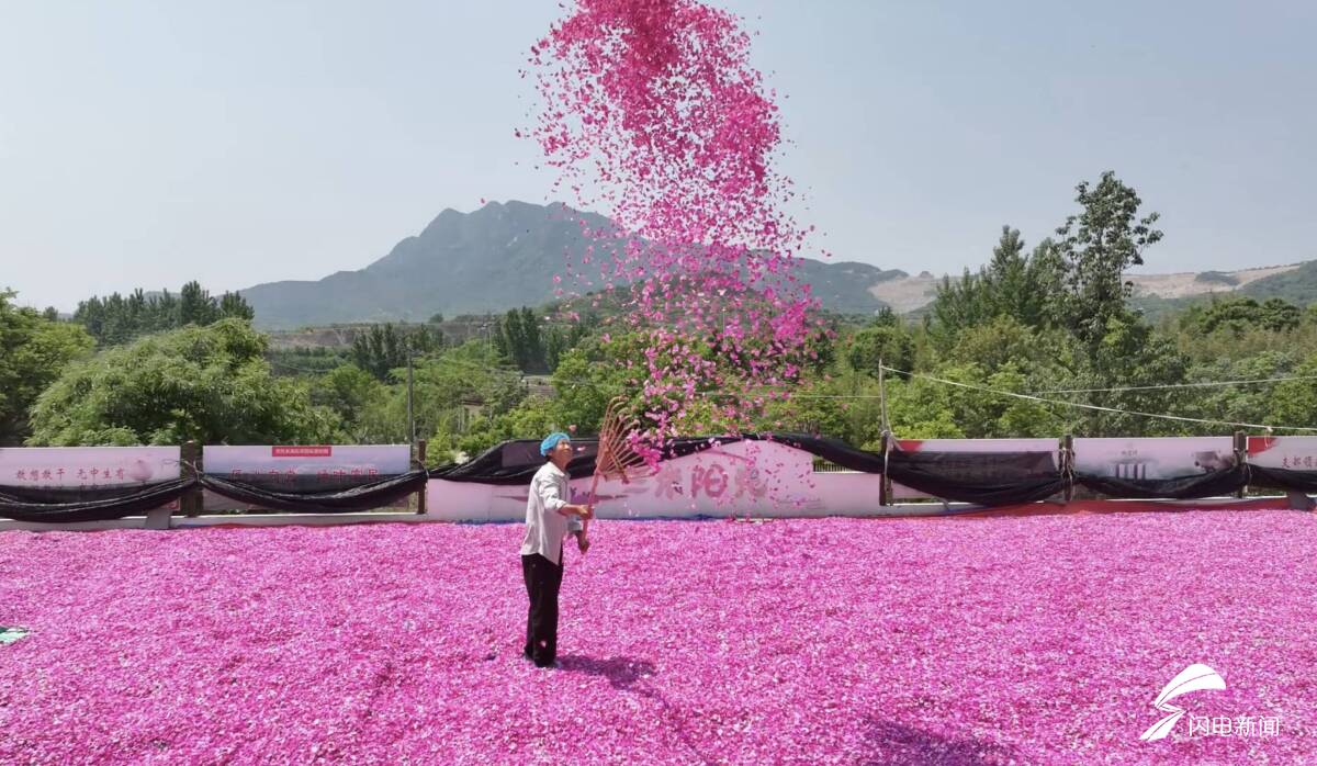 日照五莲：农旅融合走出“花样”振兴路 - 图5