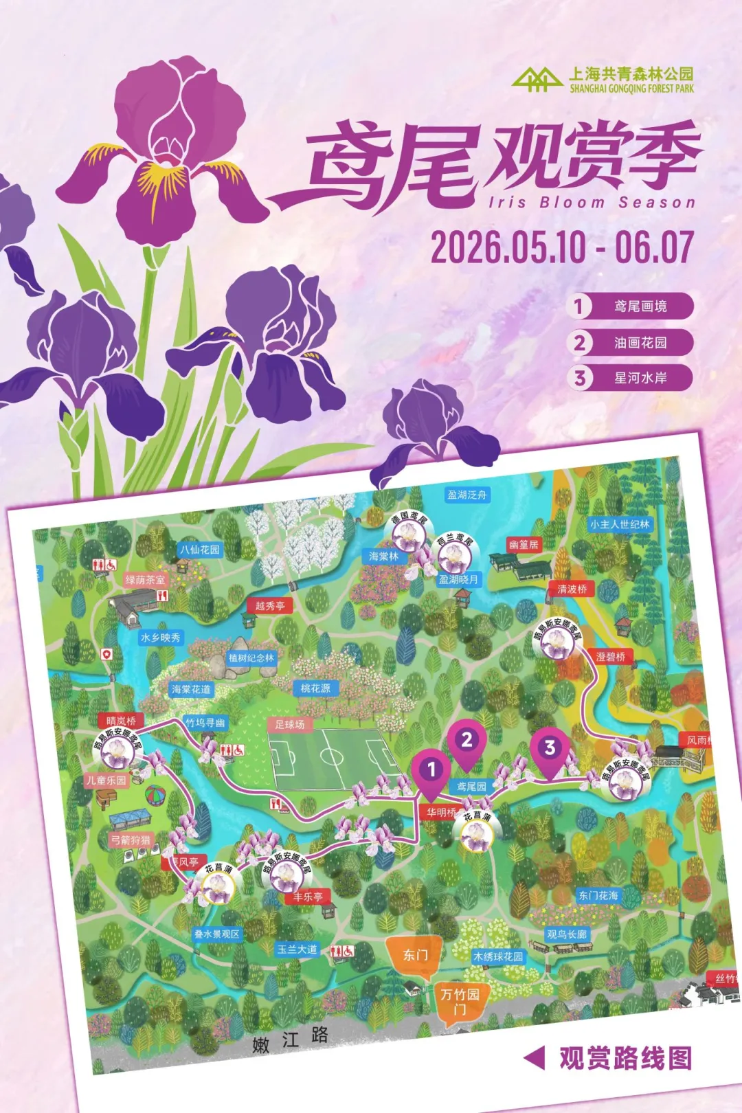 免费参观！花中“彩虹女神”已盛开，5000平绝美花海等你打卡 - 图3