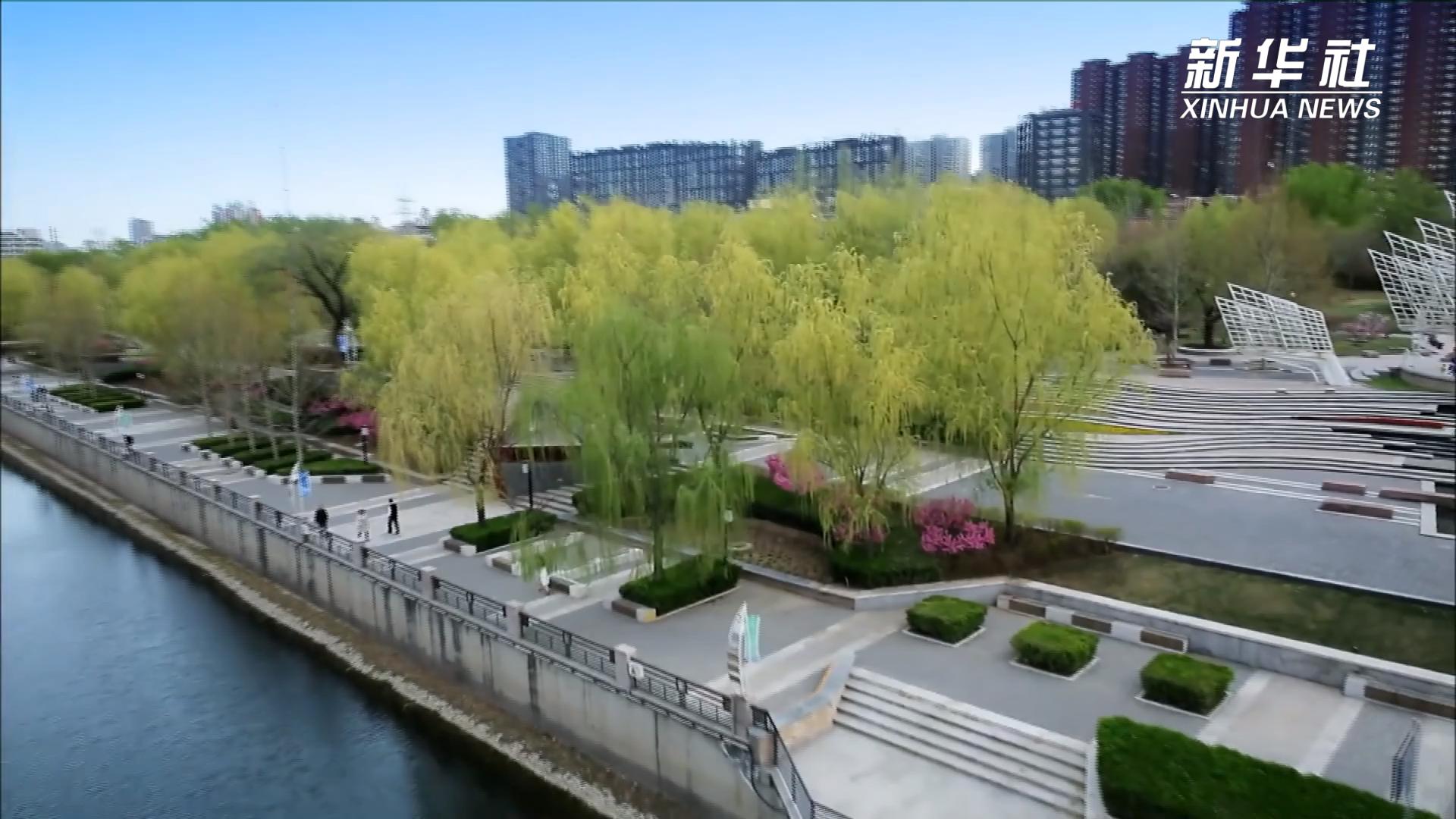 泛舟运河 见证北京城市副中心十年蝶变 - 图1