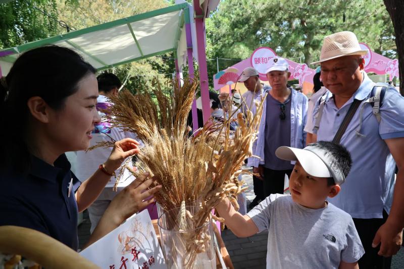 周末去陶然亭，“园游游”带您科普游园！ - 图2