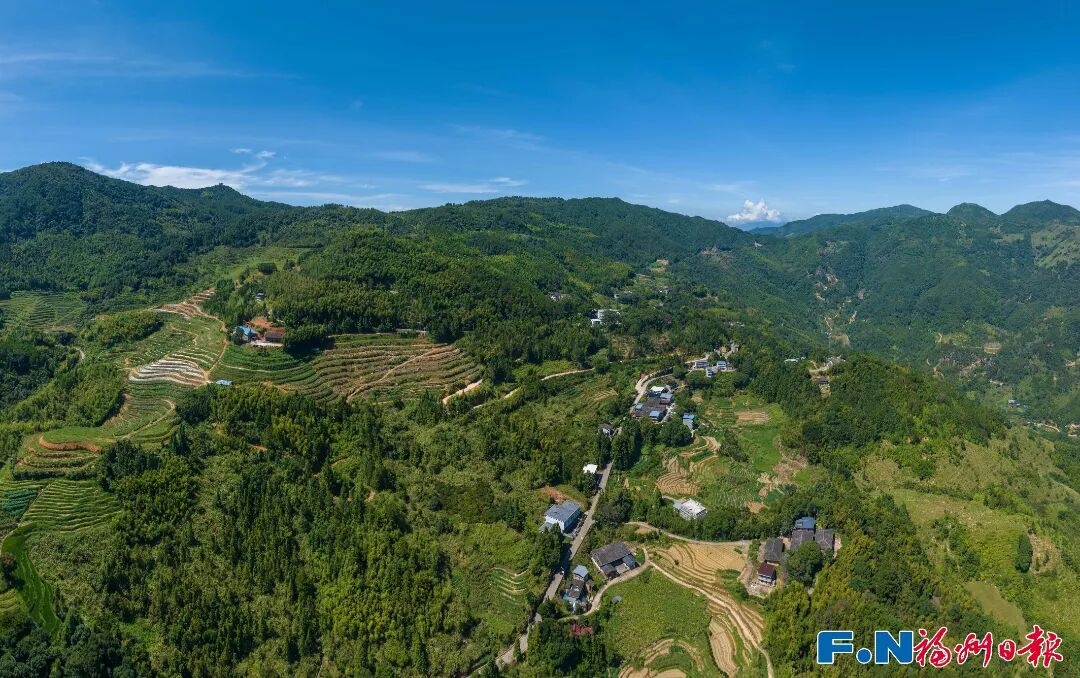 连续六年全省优秀！福州乡村振兴交出高分答卷 - 图6