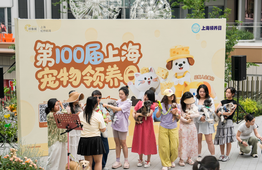 为爱助宠归家 上海宠物领养日打造城市人宠友好公益场景 - 图7