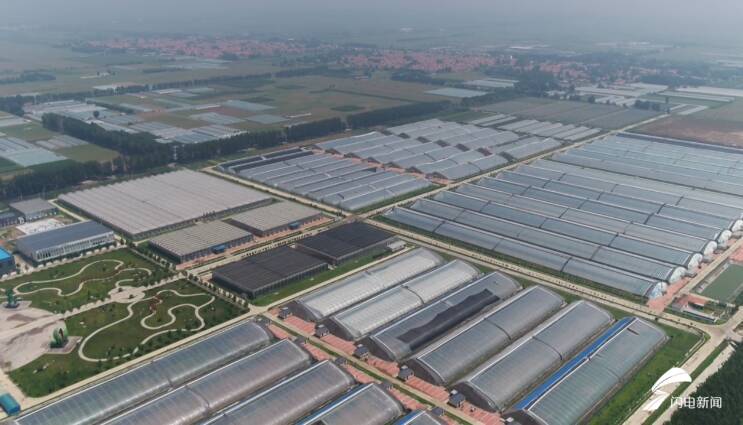 潍坊国家农综区“牵手”海关惠企利企 助力“潍坊好品”扬帆出海 - 图1