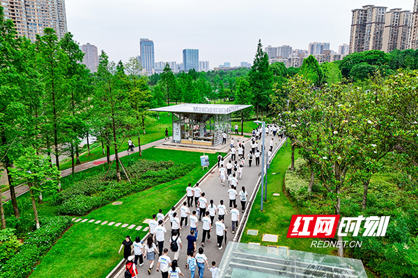 组图｜水清、风柔，健步走，千余家庭在圭塘河踩出一串笑 - 图8
