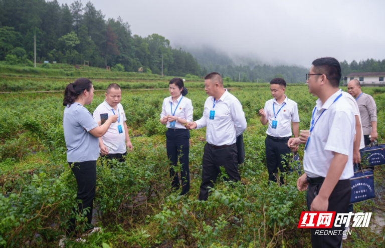 “点绿成金”正当时——湖南省农业适度规模经营产业带头人（林下经济）培训示范班侧记 - 图2