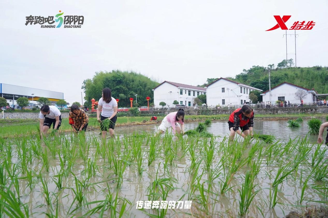 奔跑赋能乡村振兴｜石榴村田园欢乐跑燃情开跑 - 图5