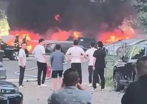 74岁男子点燃杨絮致20辆汽车被烧毁，原因披露 - 图1