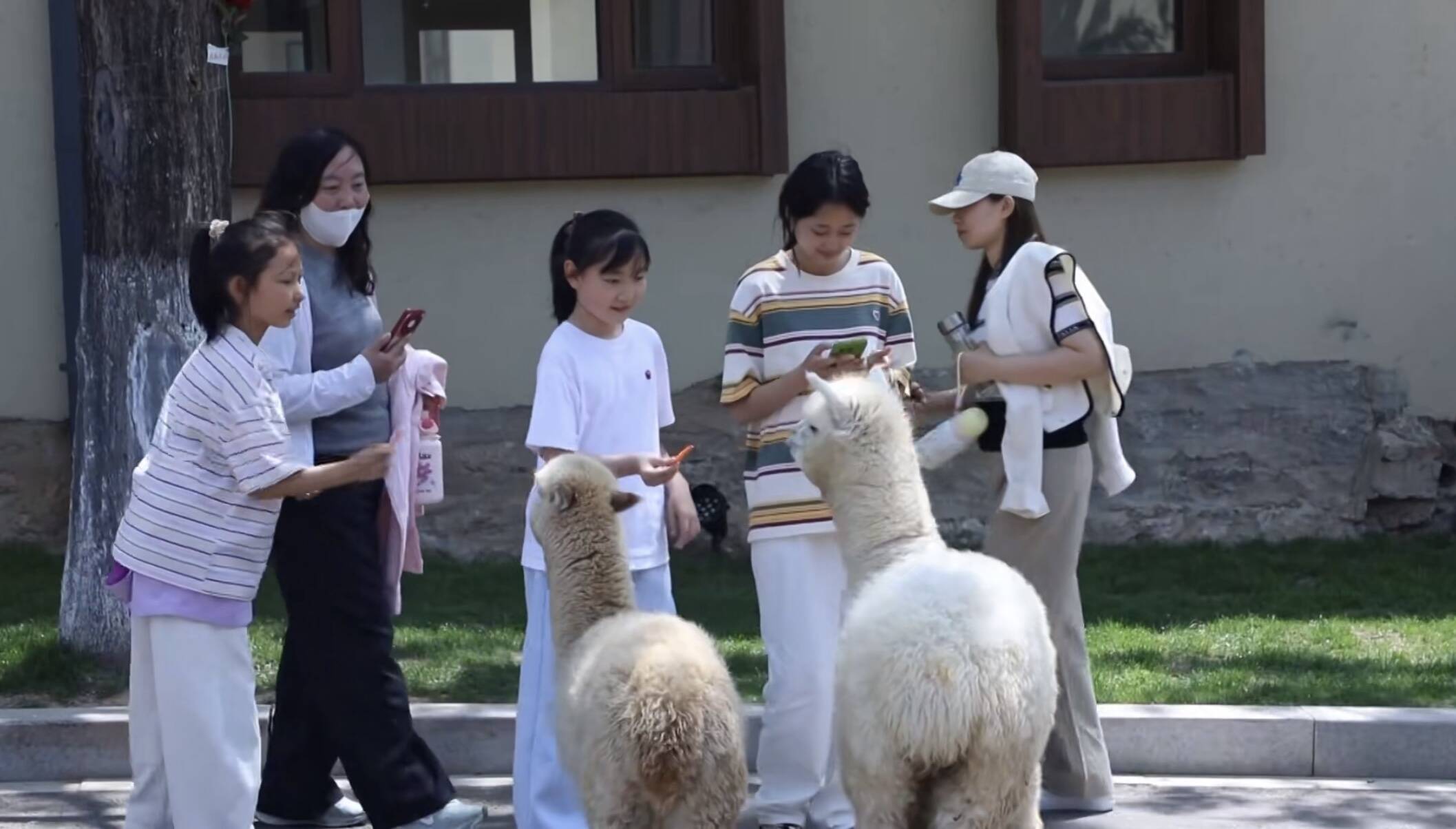 告别“走马观花” 沉浸式解锁乡村新玩法 - 图2