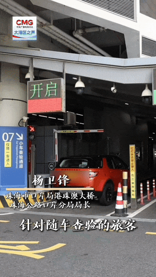 勇立潮头大湾区丨突破1000万辆次！港澳居民“一脚油门”畅行湾区 - 图2