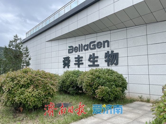 趵眼｜从意向旁落到倾心扎根，济南凭什么打动行业龙头？ - 图4