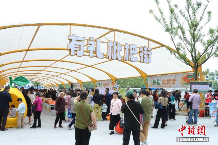 （乡村行·看振兴）一条“有礼枇杷街”，何以折射正确政绩观？ - 图2