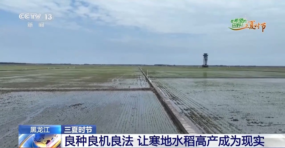 良法良种良机 寒地水稻增产新招让“不可能”成为现实 - 图8