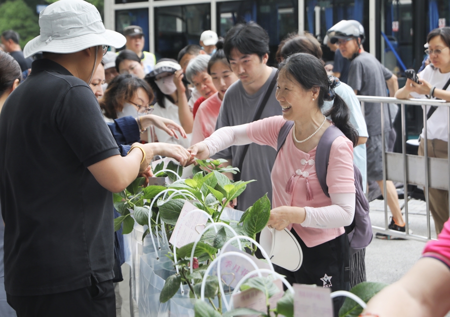 花卉节百盆绣球花免费领！就在中山公园，手慢无！ - 图3