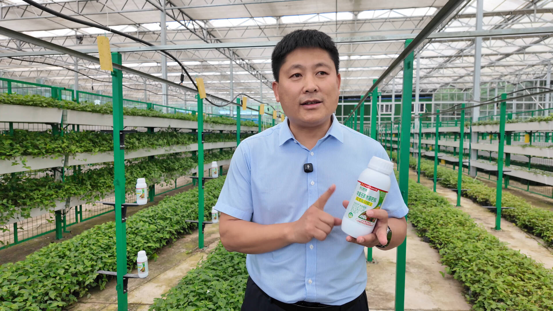 26年老把式，被这款肥料彻底“圈粉”！ - 图12