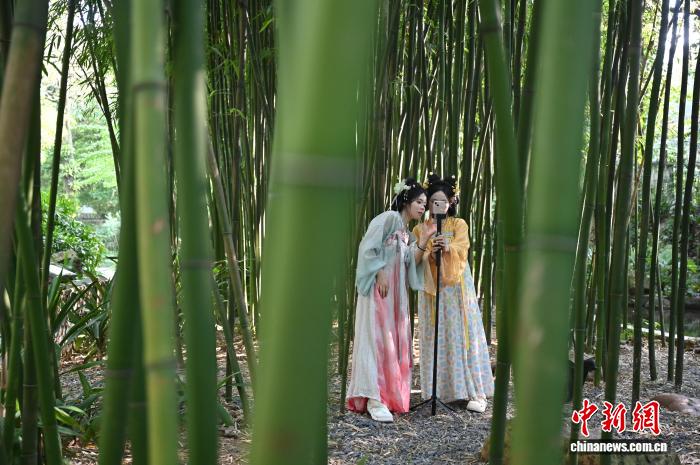 广州兰圃：岭南园林邂逅兰文化与中式美学 - 图5