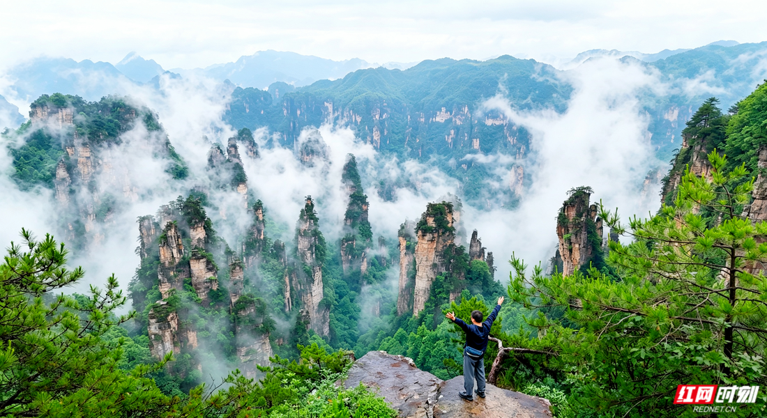 寻美大张家界③丨登天门探峰林，达人在张家界云端入画 - 图6
