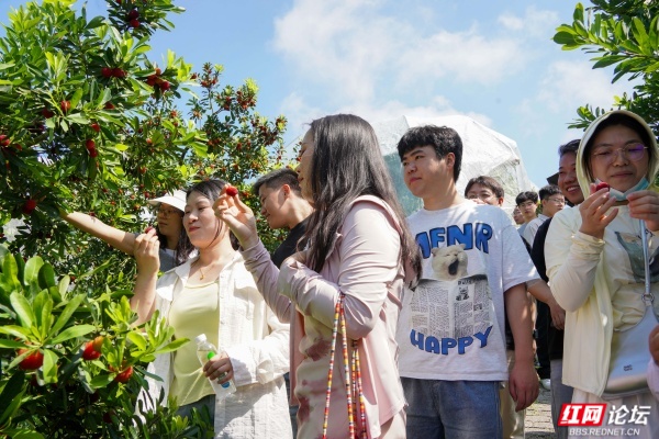 梅好时节遇心动！这群青年在靖州赴一场浪漫之约 - 图10