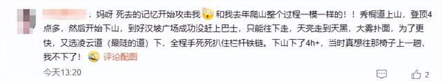 知名男星杨迪分享爬深圳梧桐山经历：朋友被救护车拉走 - 图9
