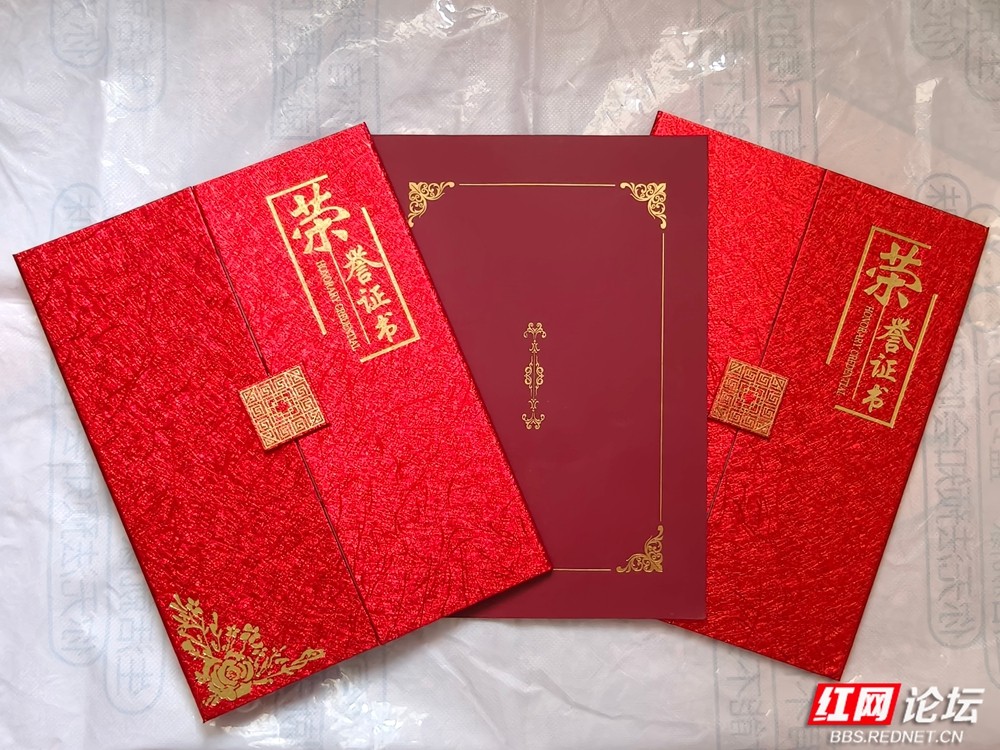 以笔为犁镜头为眼：我与红网相伴的成长答卷 - 图8