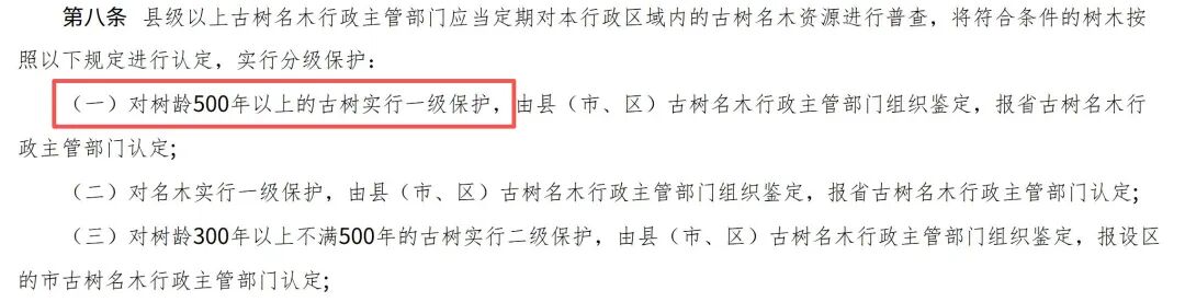 浙江600年古树为省重点工程让路后死亡，镇领导被曝用“60万补偿”诱导村干部签字谎称“冻死”：地方发展的代价，不该让古树用生命来承担 - 图7