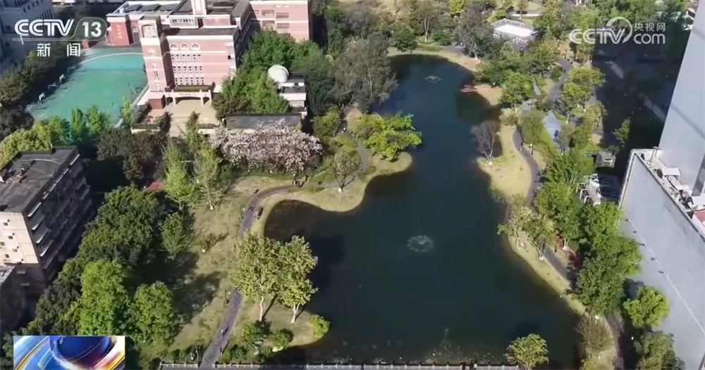 “小而美”消费新空间变身文旅消费前沿 “新项目+新场景”丰富消费体验 - 图2