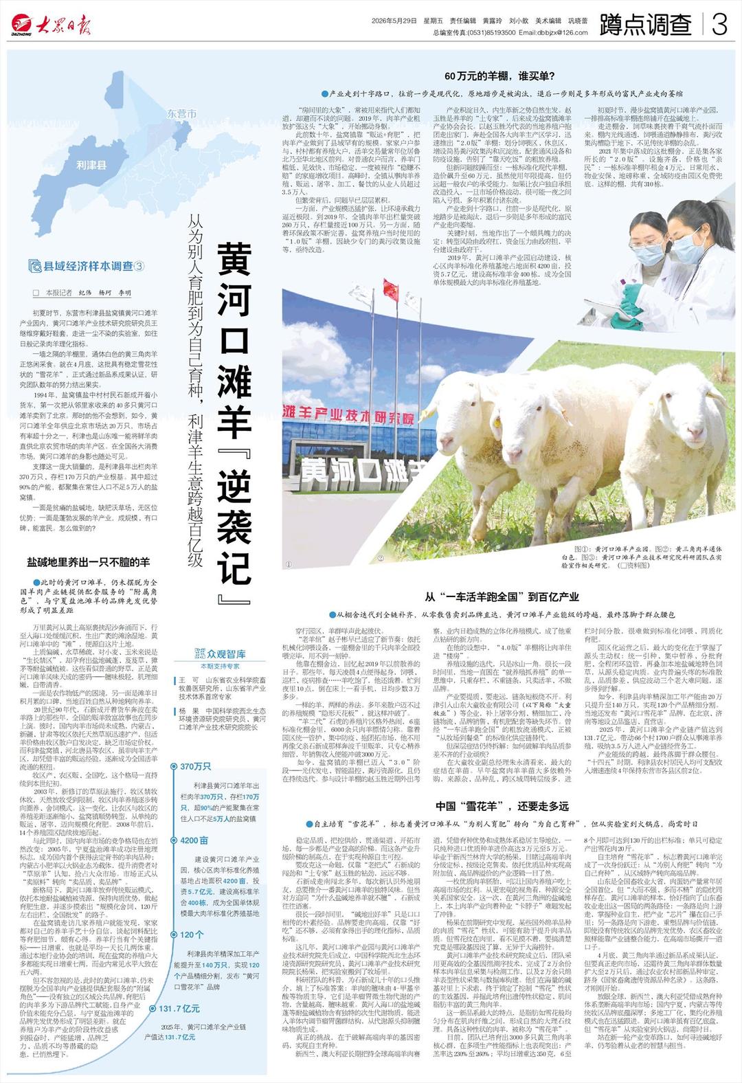 AI播客｜黄河口滩羊产业的跨越发展 - 图2