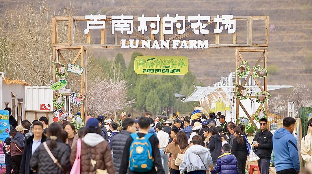 进芦南村做上班族？“00后”还有哪些逆向选择？ - 图2