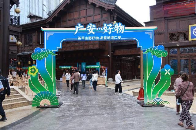 四川省首届和美乡村“村舞”交流展示活动在岳池举行 - 图4