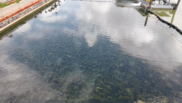 云南通海：多措并举护生态 杞麓湖焕发新生 - 图1