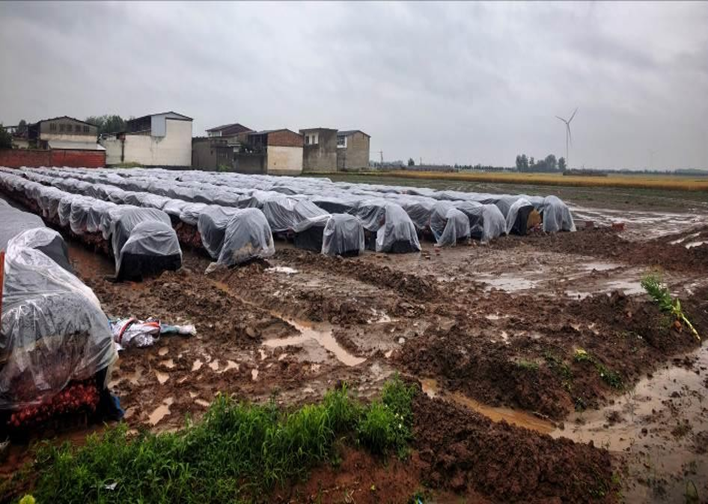 河南多地被应急管理部通报表扬！ - 图21