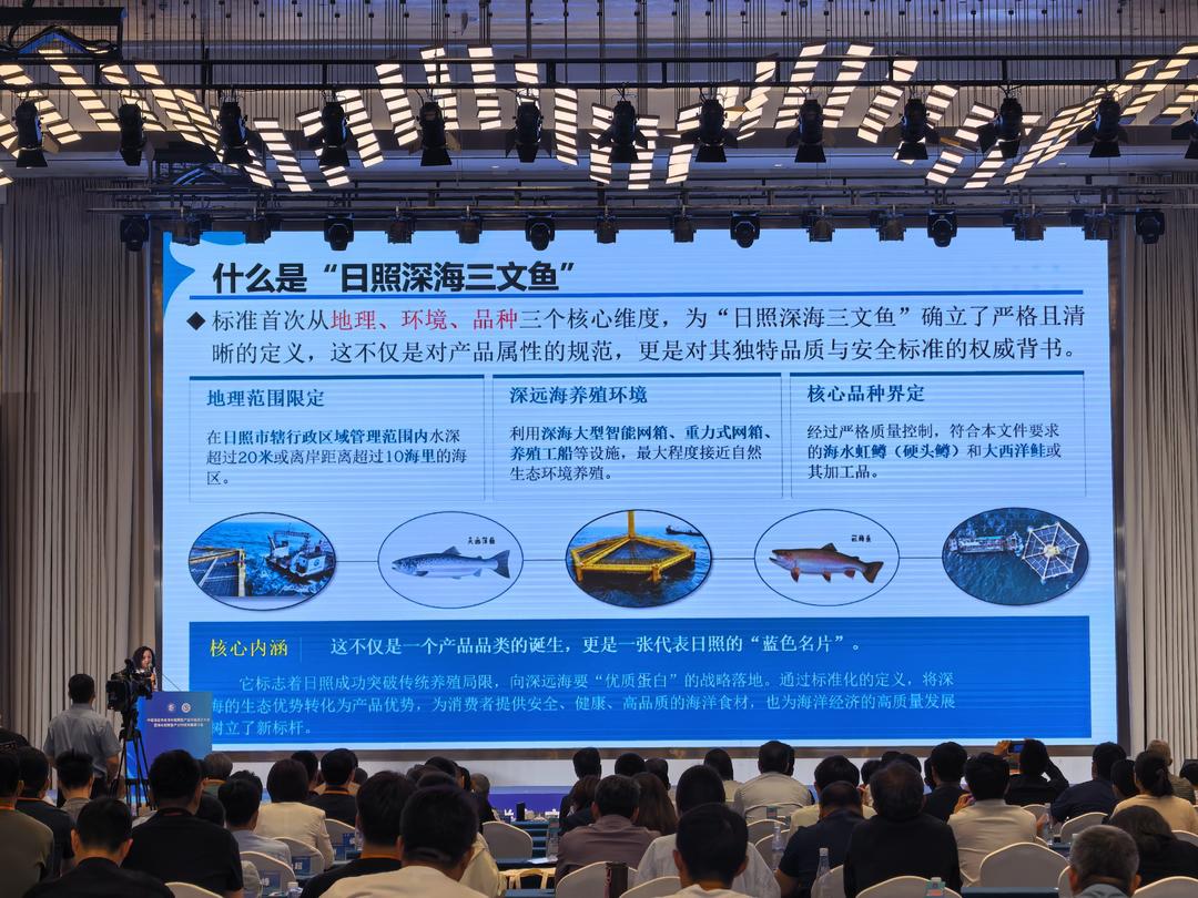 标准定义品质！“日照深海三文鱼”团体标准发布 - 图1
