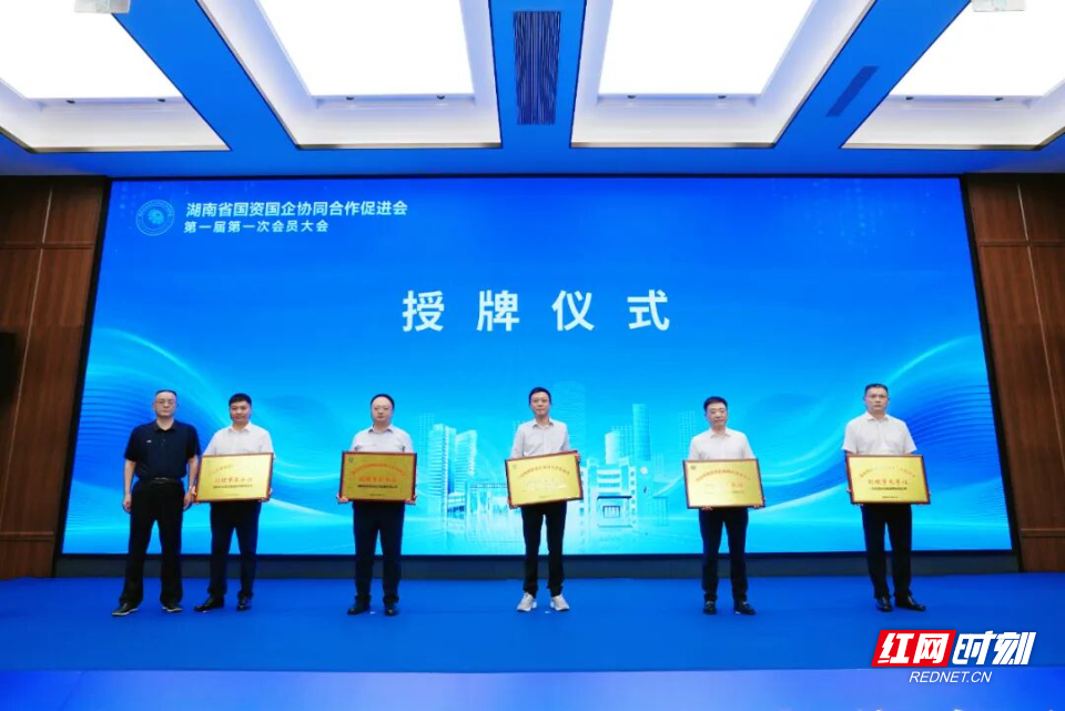 湖南建投集团当选湖南省国资国企协同合作促进会副理事长兼“走出去”专业委员会主任单位 - 图2