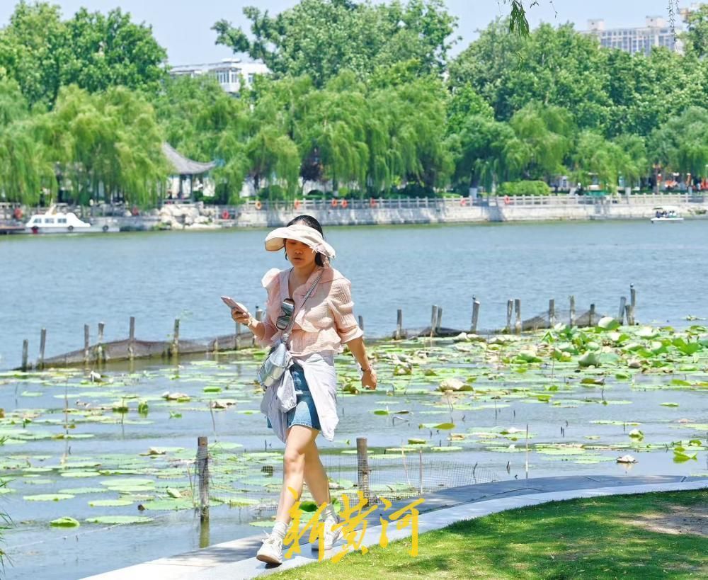泉城连日高温 市民游客大明湖畔觅清凉 - 图2