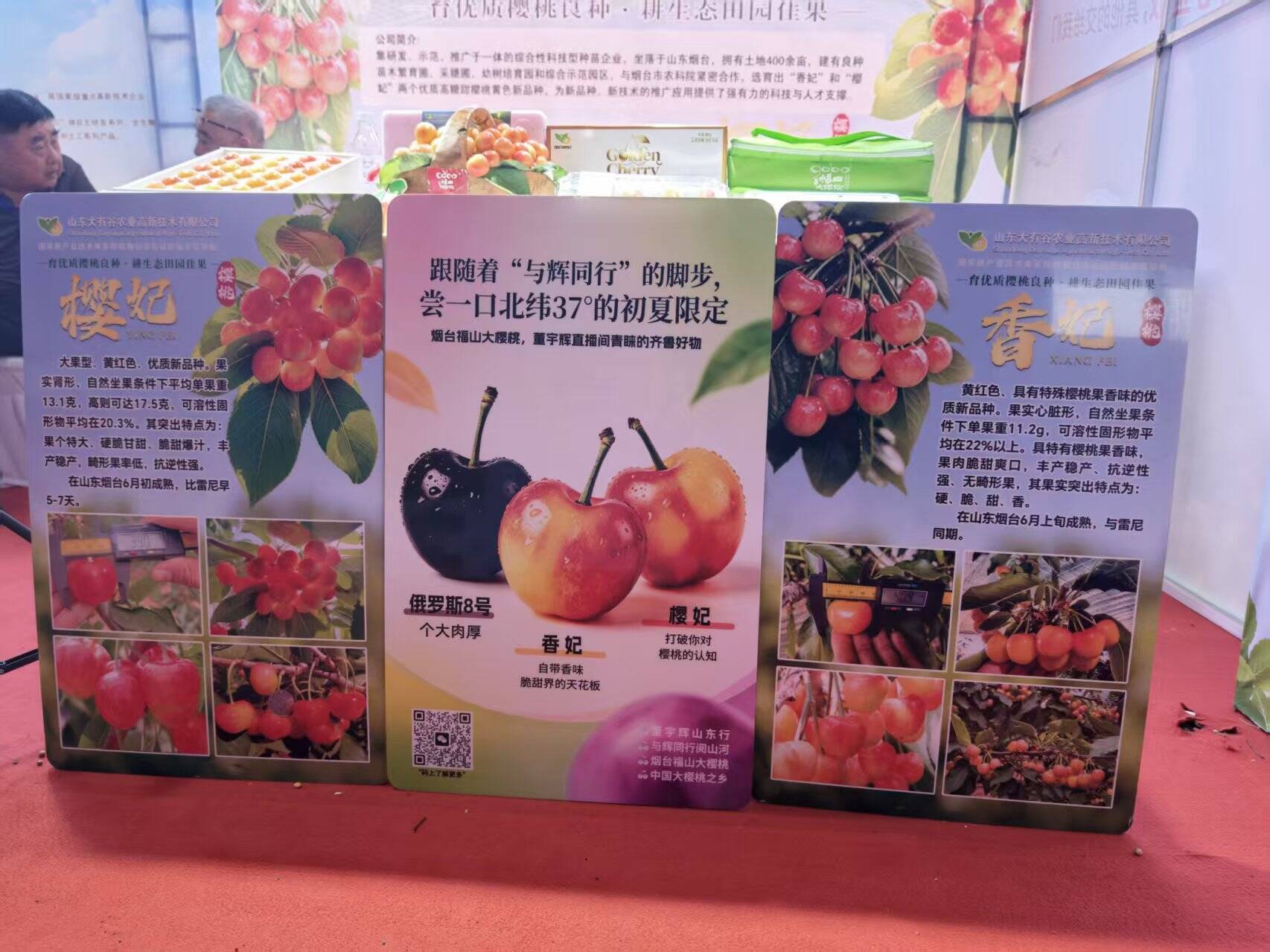 以会为媒聚樱商 锚定设施栽培新赛道 - 图9