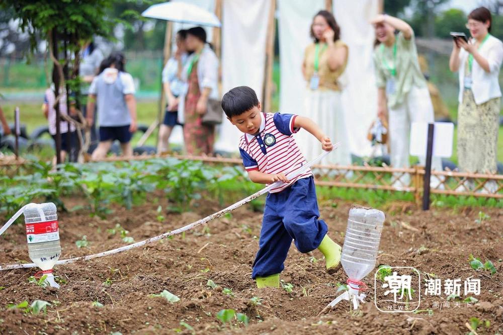 打破办学“围墙”，多方携手共育一个娃 - 图1