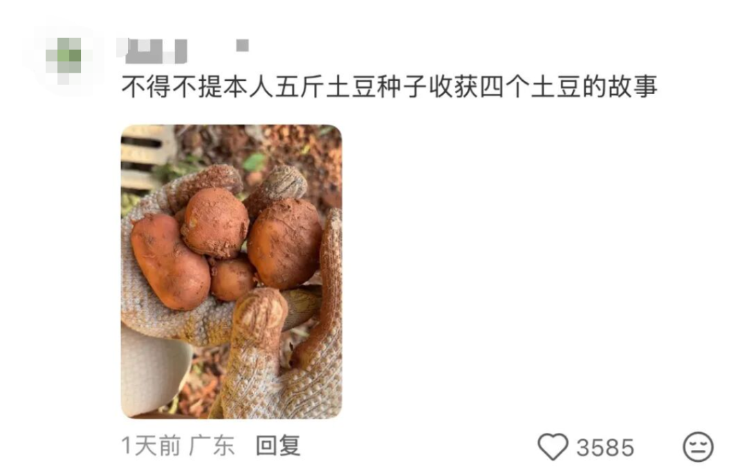“本人于2026年5月种出了番茄，望周知” - 图13