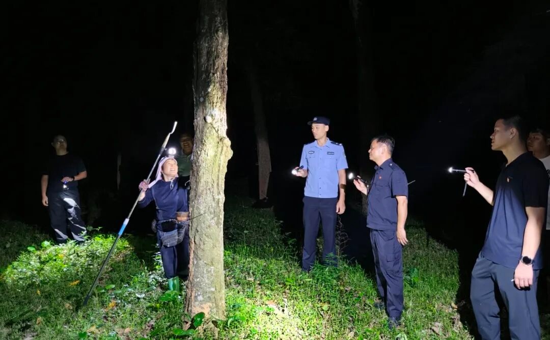 夜幕下的“守夜人” 白沙公安与护林队员橡胶林筑起“平安墙” - 图2