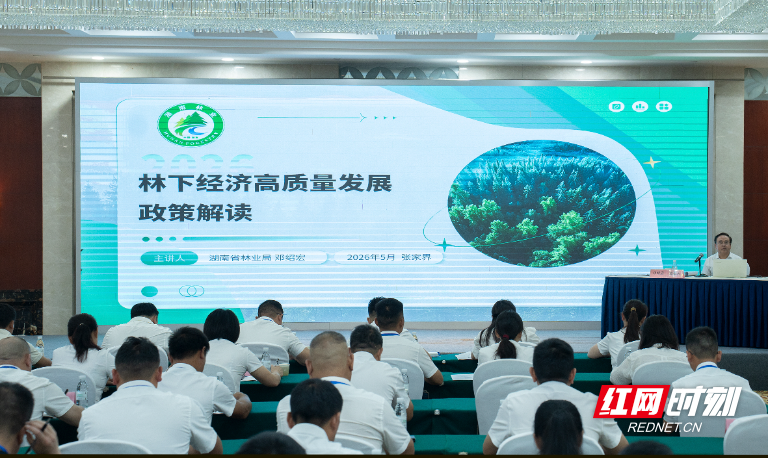 “点绿成金”正当时——湖南省农业适度规模经营产业带头人（林下经济）培训示范班侧记 - 图1