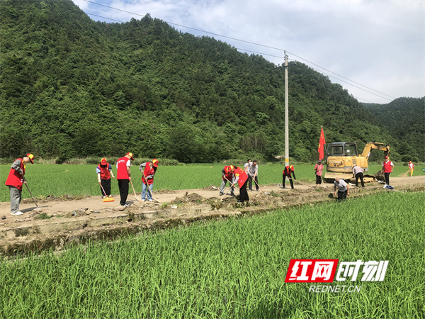 双牌：党建联学聚合力 电暖乡村促振兴 - 图2