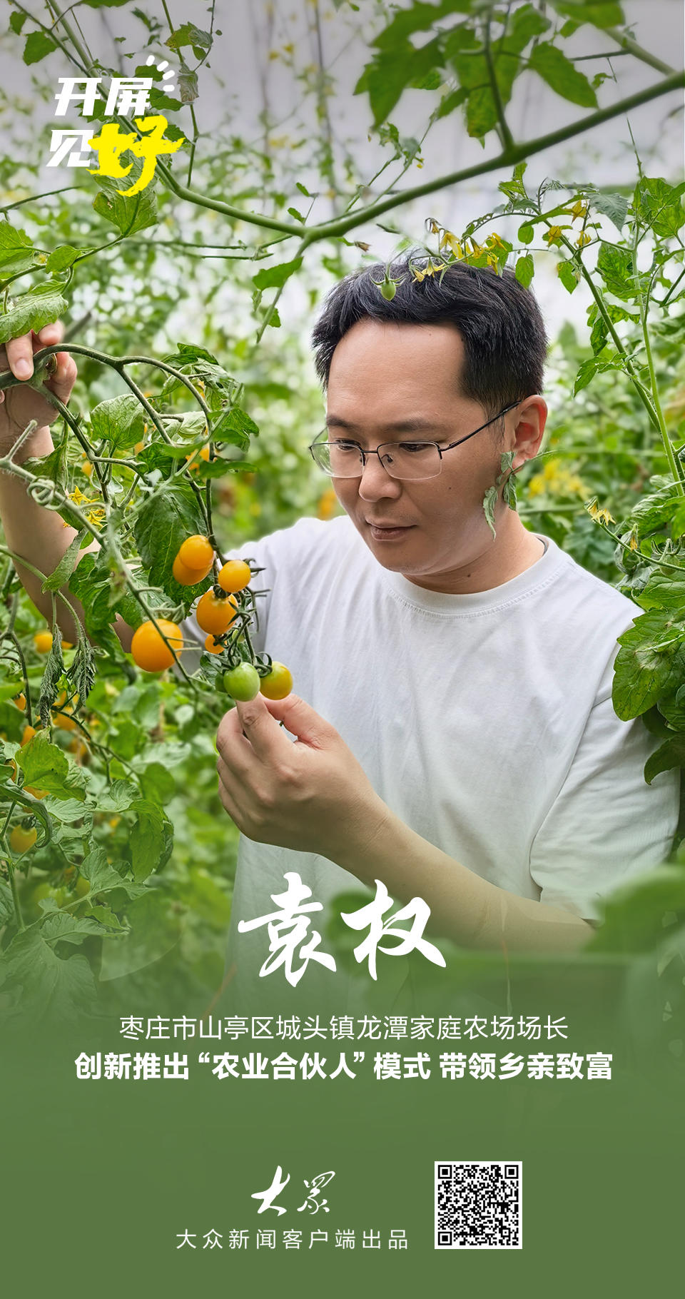 开屏见“好”｜把青春写在泥土里：他辞职回乡种番茄，用小种苗串起致富大产业 - 图2