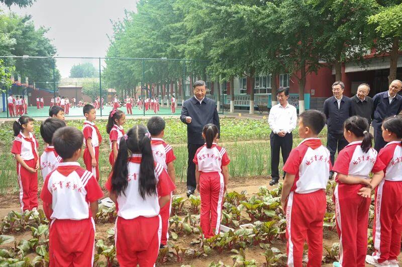 时政微观察丨争做新时代好少年 跑好历史接力赛 - 图4