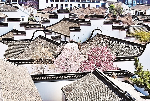 “古建游”缘何出圈走红 - 图2