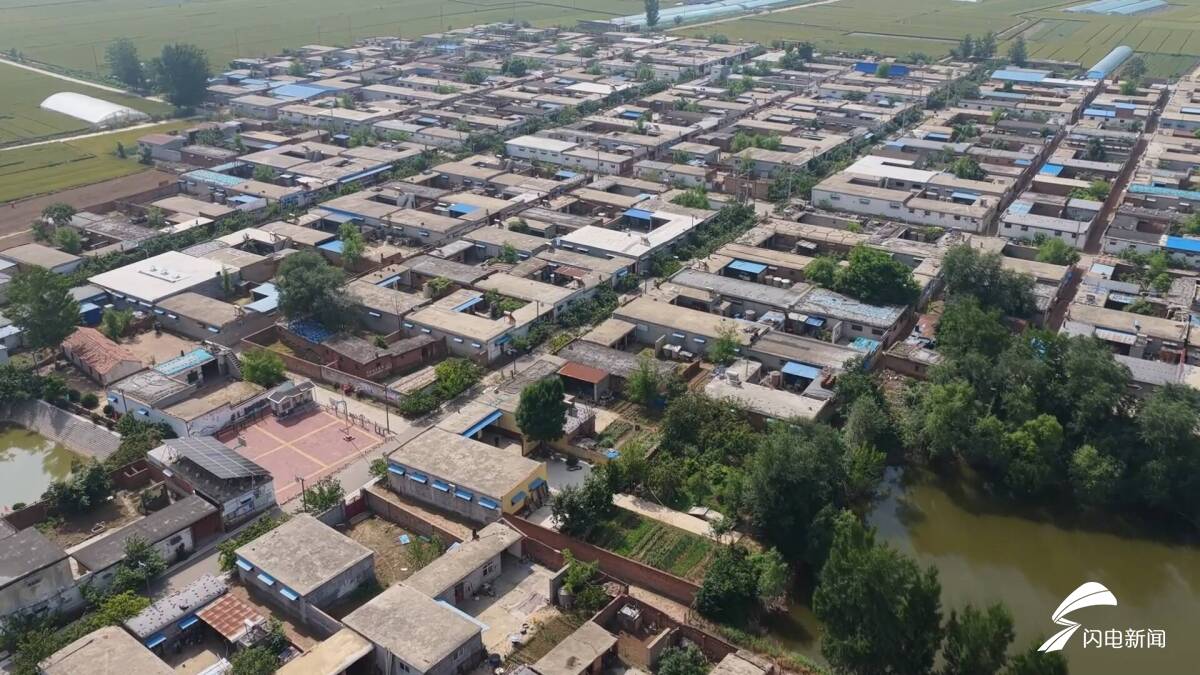 进村就像进“果园”！聊城茄子李村，八万斤杏“挂”在房前屋后 - 图1