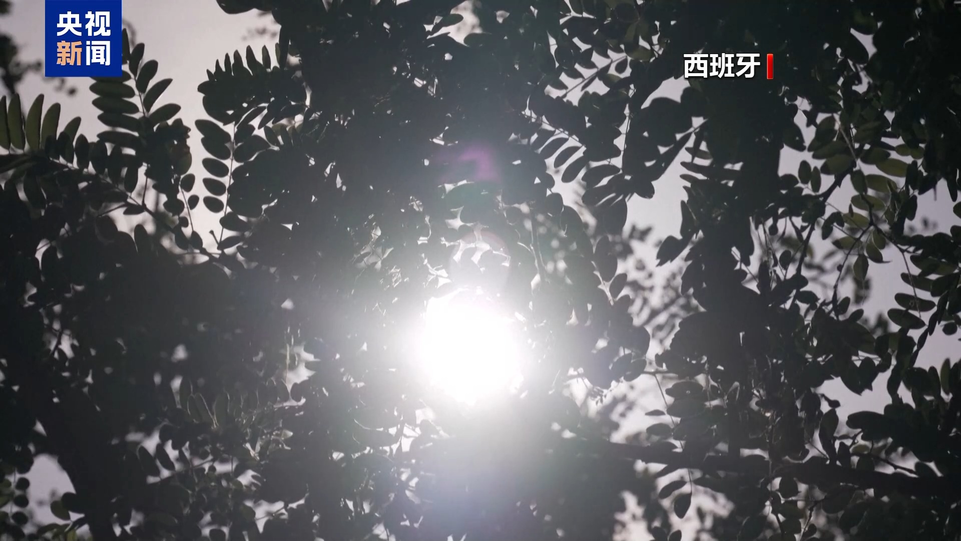 视频丨欧洲5月遭遇罕见高温 专家：今夏酷暑或加剧 - 图2