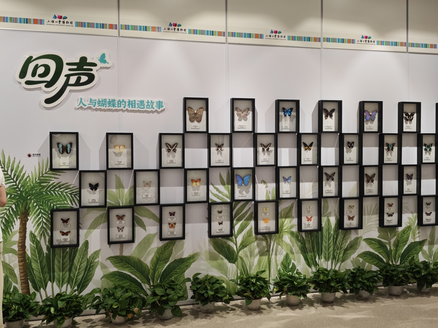 “嗨，我是蝴蝶”，上海儿童博物馆开馆三十周年特展揭幕 - 图3