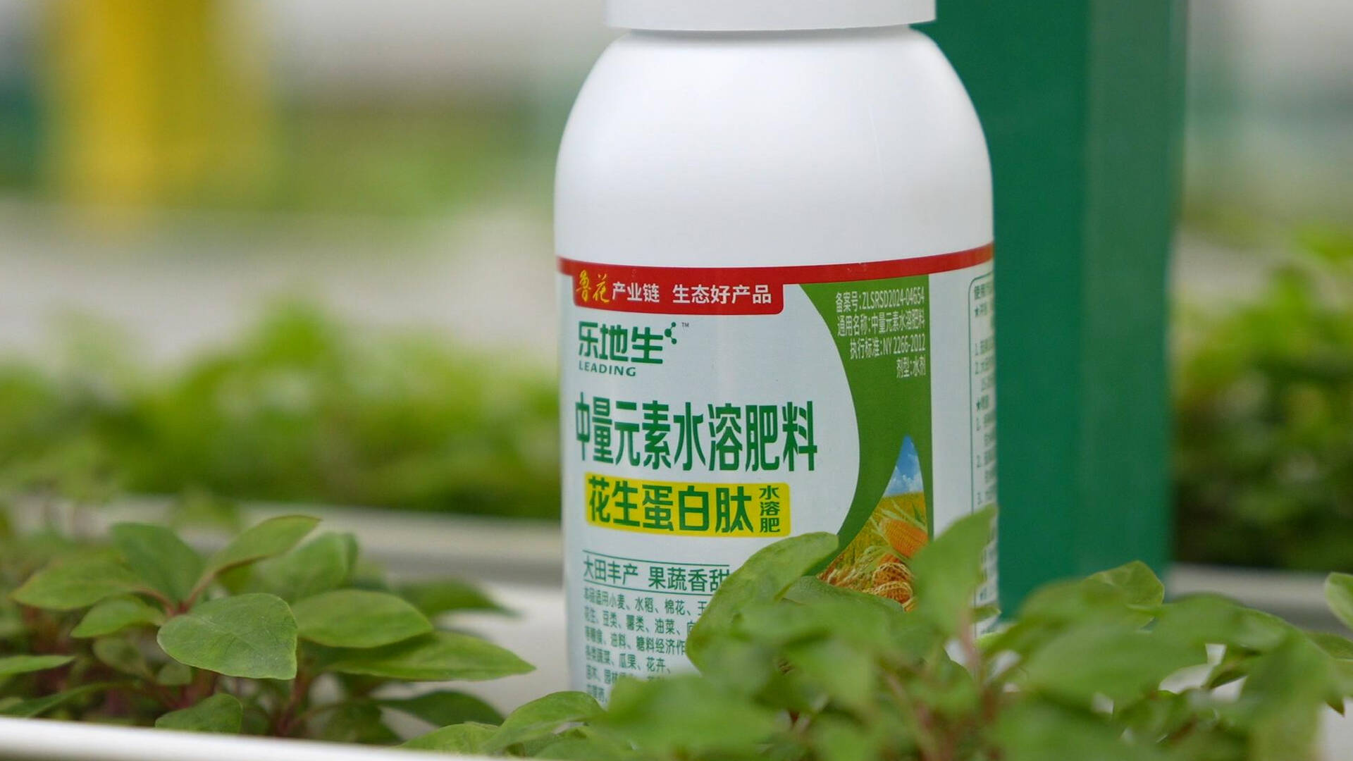 26年老把式，被这款肥料彻底“圈粉”！ - 图14