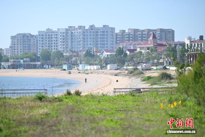 黄渤海交汇处的“零碳”探索：长岛走出海洋生态发展特色路径 - 图1
