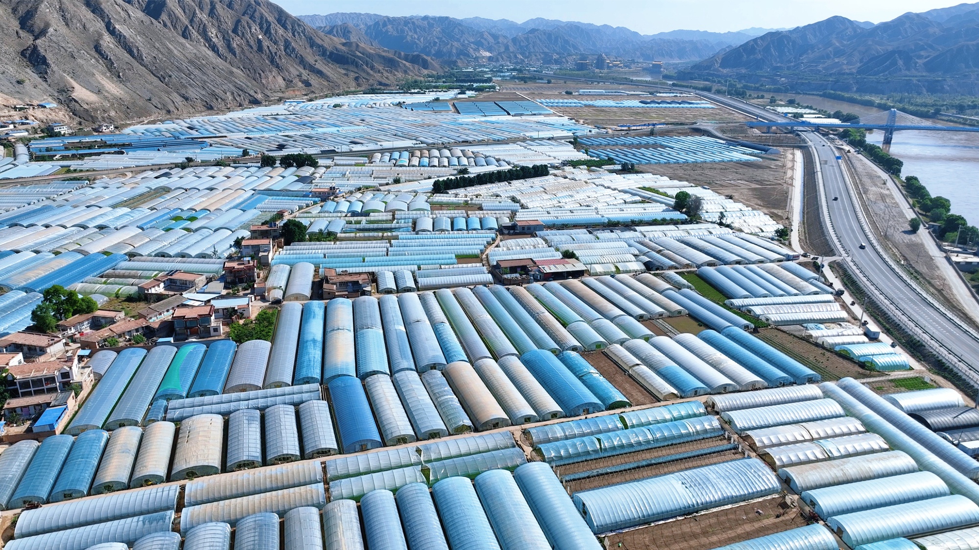 甘肃皋兰白兰瓜甜蜜上市：一口“记忆中的味道”回来了 - 图1